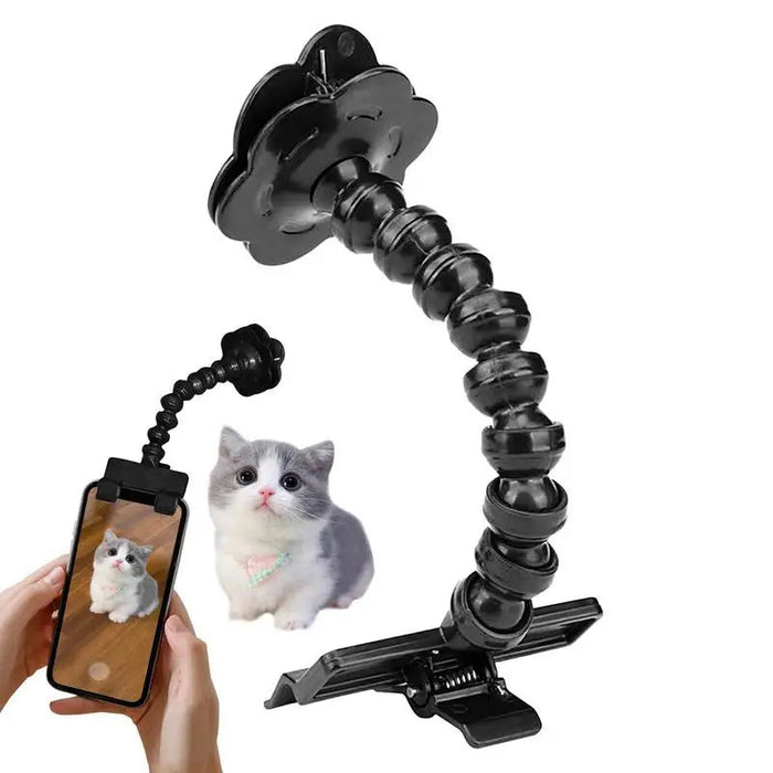 Pet Photography Tool Cat Dog And Dog Viewing Lens Teddy Camera Toy