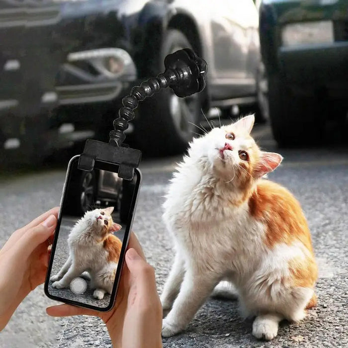 Pet Photography Tool Cat Dog And Dog Viewing Lens Teddy Camera Toy