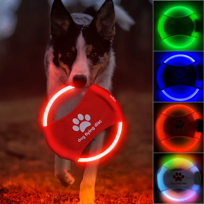 Dog Flying Discs Light Glowing LED Luminous Train