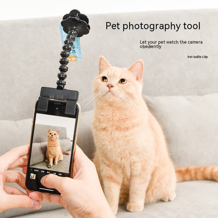 Pet Photography Tool Cat Dog And Dog Viewing Lens Teddy Camera Toy