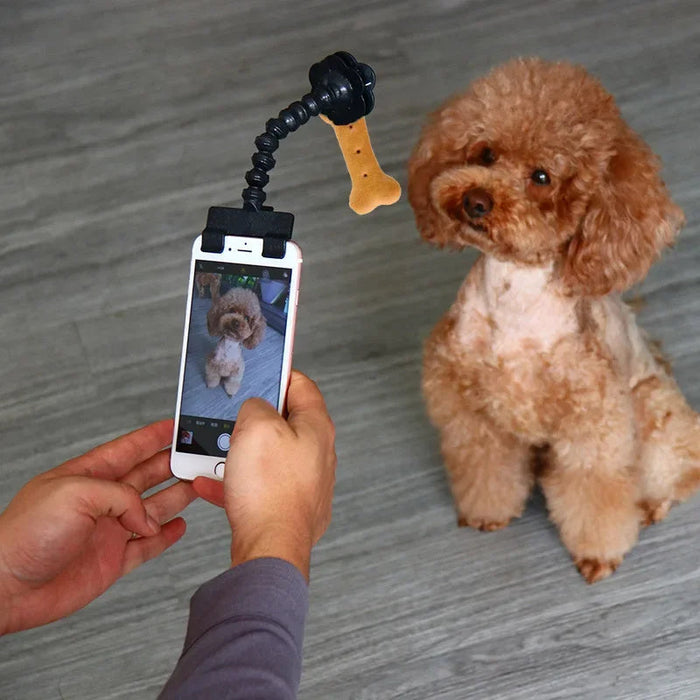 Pet Photography Tool Cat Dog And Dog Viewing Lens Teddy Camera Toy