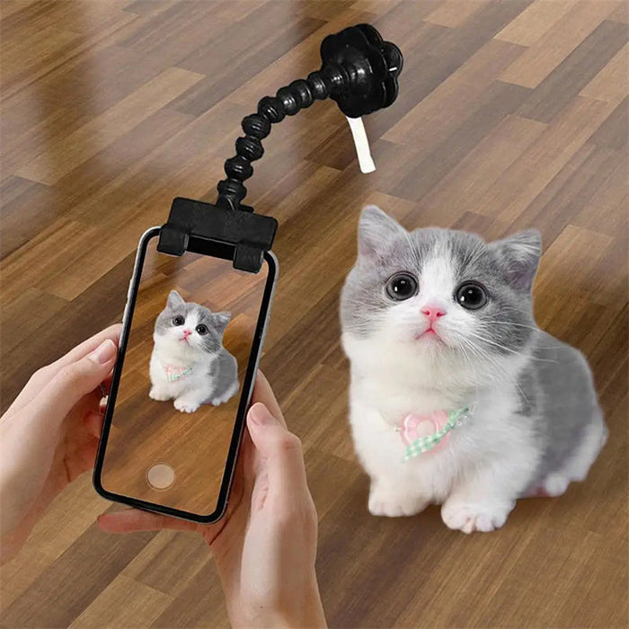 Pet Photography Tool Cat Dog And Dog Viewing Lens Teddy Camera Toy