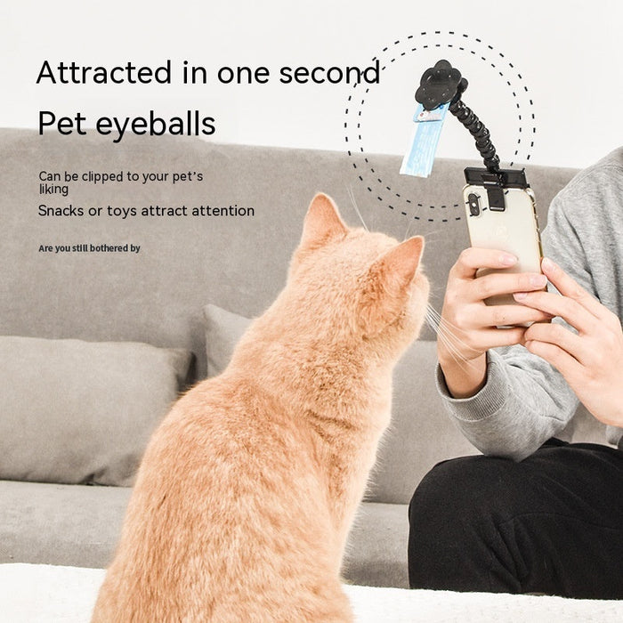 Pet Photography Tool Cat Dog And Dog Viewing Lens Teddy Camera Toy