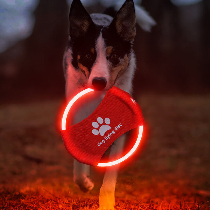 Dog Flying Discs Light Glowing LED Luminous Train